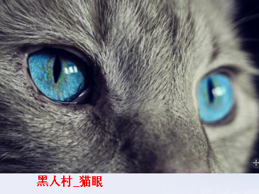 黑人村_猫眼.png