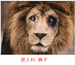 黑人村_狮子.png