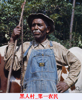 黑人村_第一农民.png