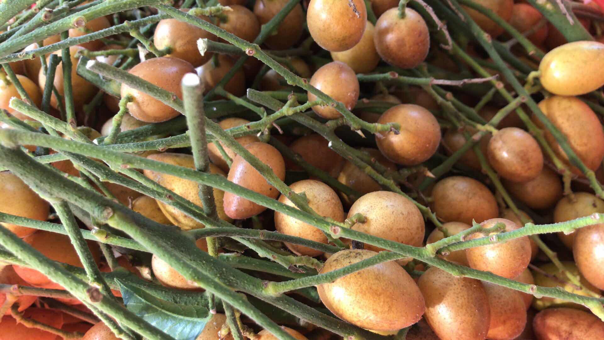 神话拉登庄园 (5).jpg